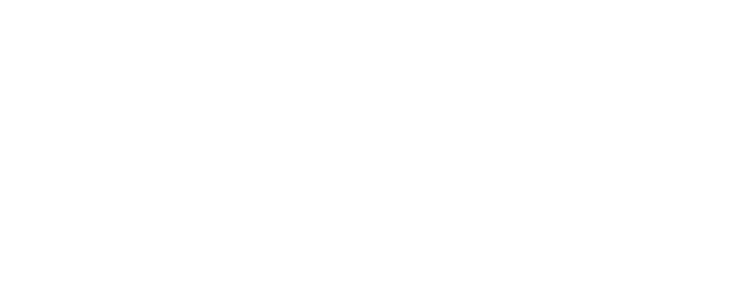 S3C